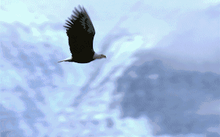 杭萧钢构唐山公司入选省级绿色工厂